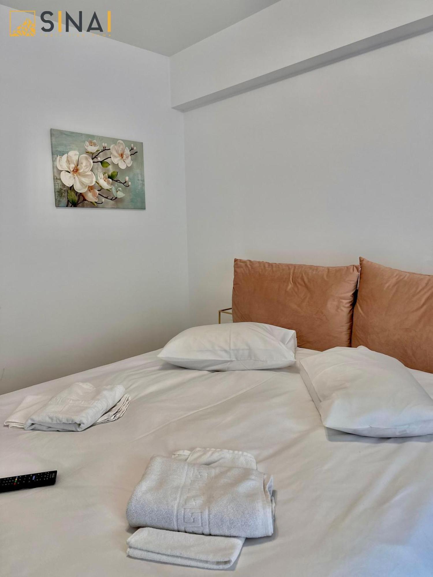 Sinai Aph Apartments Sinaia Exterior photo